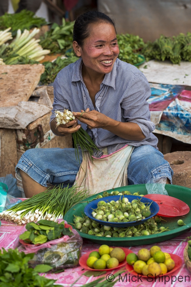 Bunching spring onions in the market, Vientiane, Laos