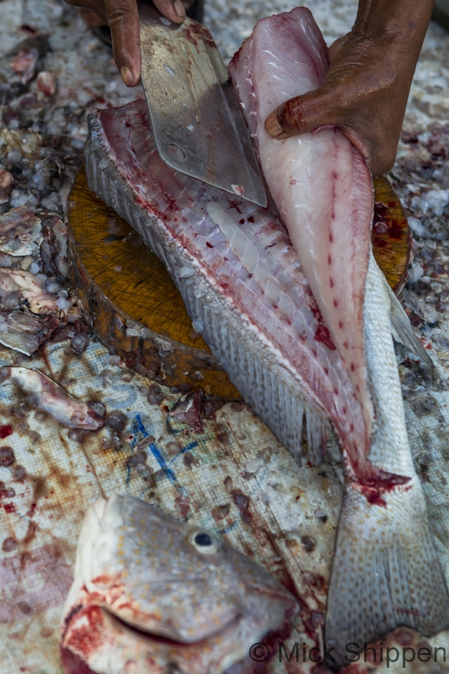 Filleting a fish, Cha Am, Thailand