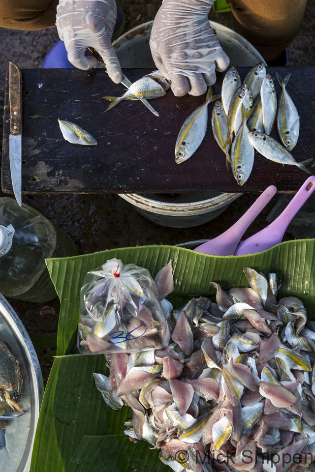 Filleting small fish in the market, Cha Am, Thailand
