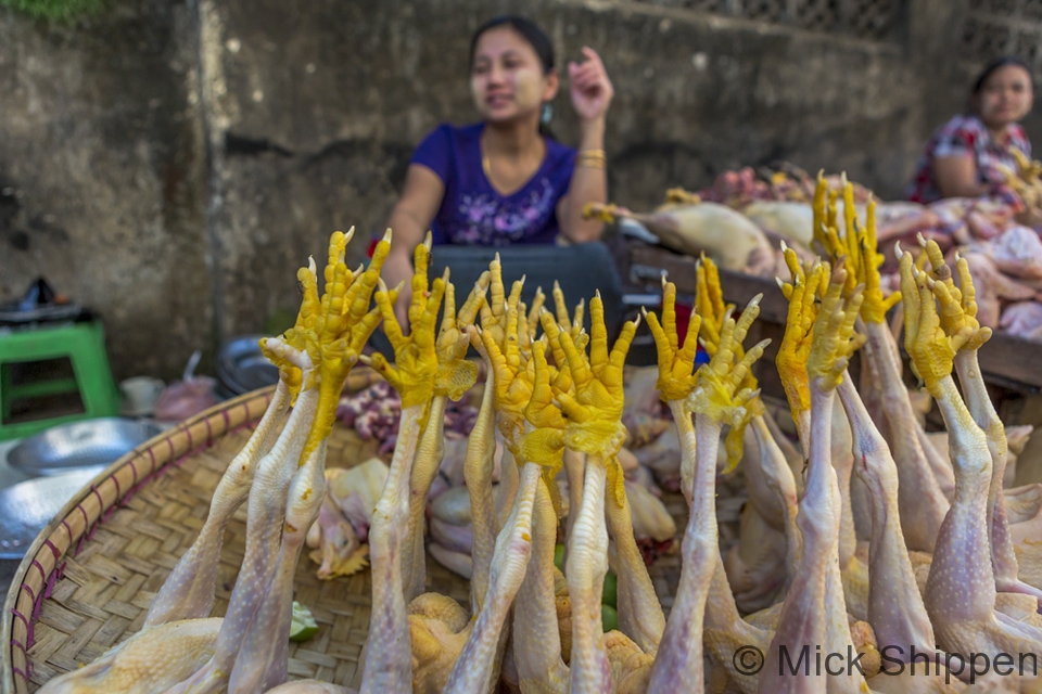 Chicken seller, Yangon, Myanmar