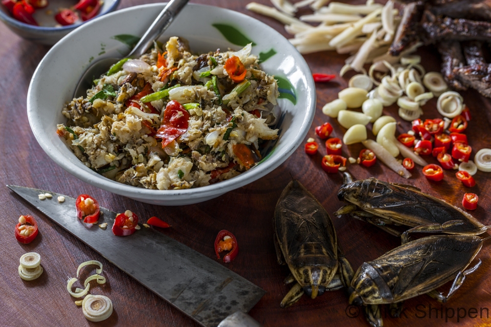 Lao food, jeow maeng da, giant water beetle, fish and chilli dip