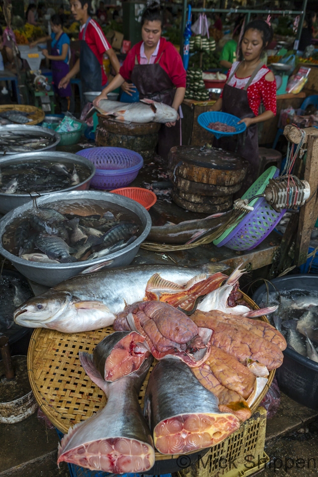 Fresh water fish and roe for sale in a Vientiane market