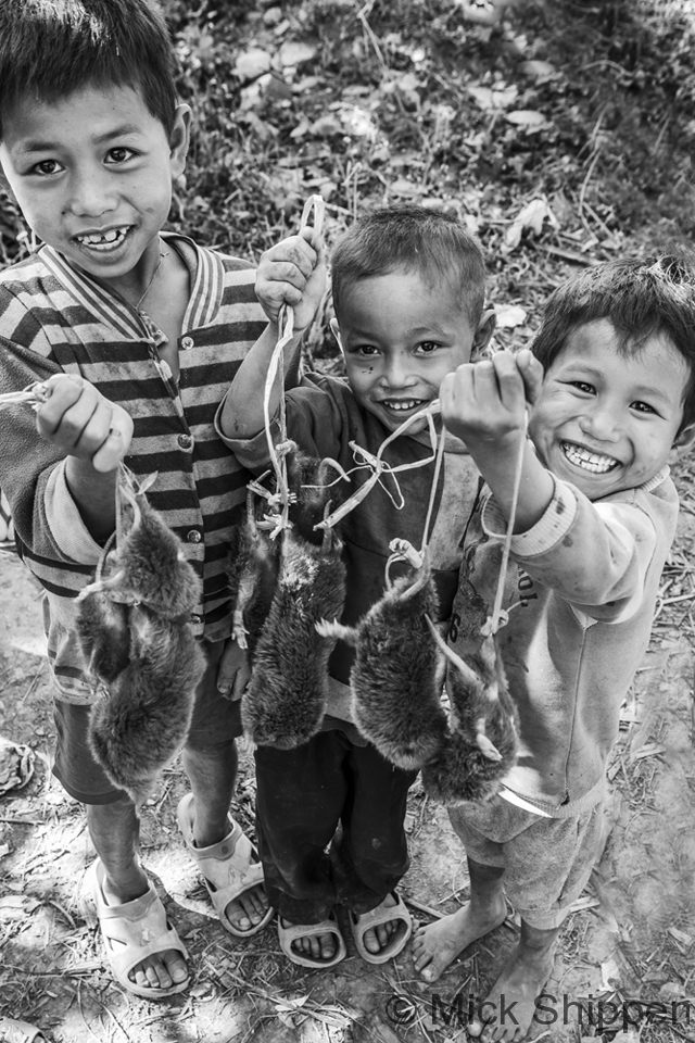 Boys with bamboo rats, northern Laos