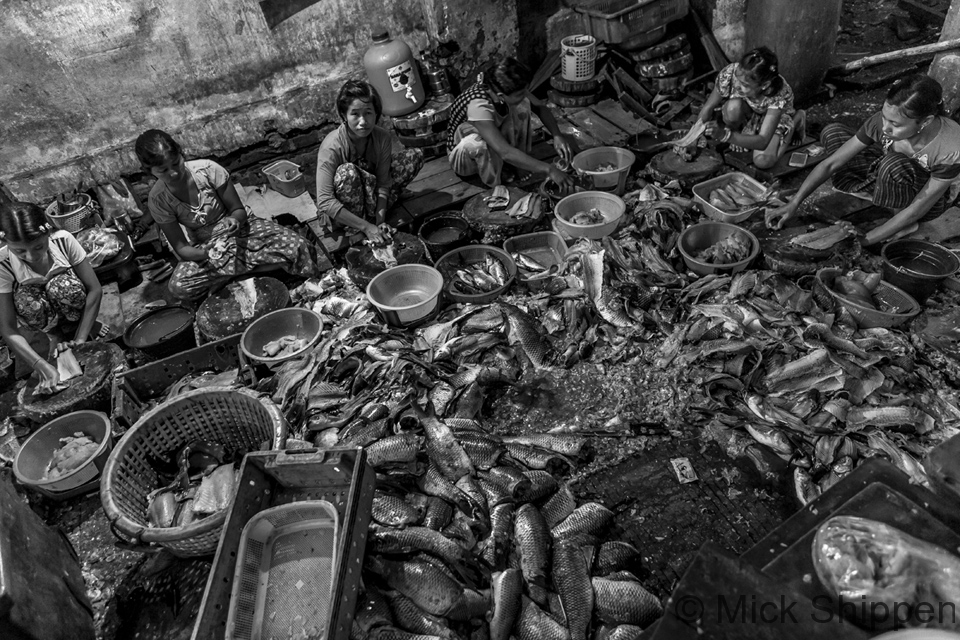 Yangon fish market, Myanmar