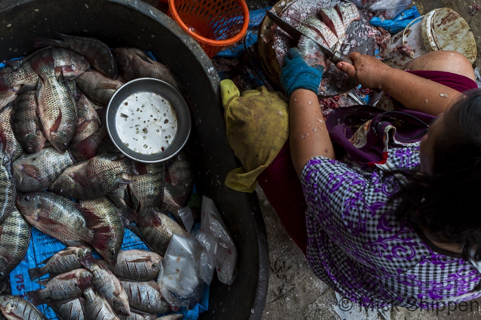 Fishmonger, Chiang Rai market, Thailand