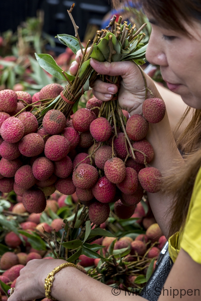 Lychees, Chiang Rai market, Thailand