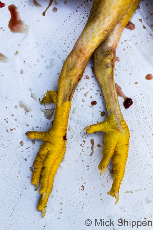 Chicken feet, Yangon, Myanmar