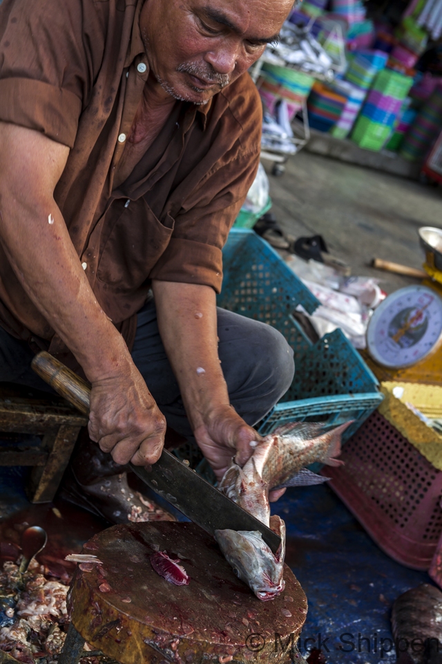 Fishmonger,  Chiang Rai market, Thailand