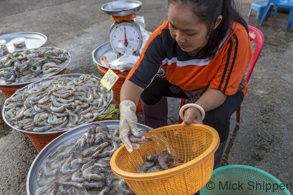 Selling prawns, Cha Am, Thailand