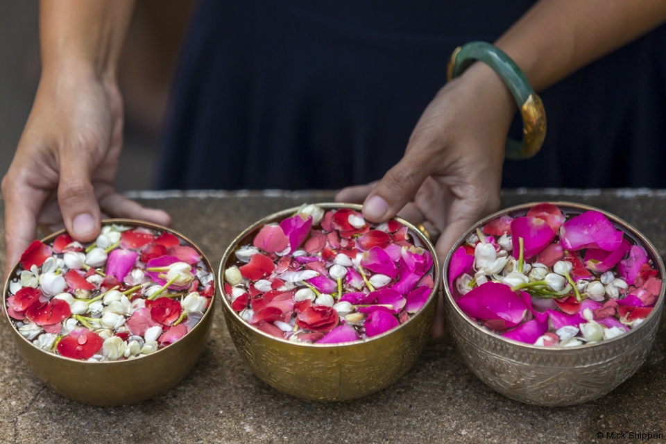 Tak bat dok mai flower almsgiving at Wat Phra Phutthabat in Saraburi.