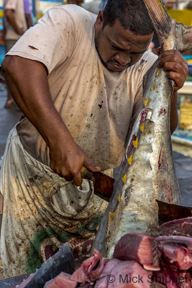 Cutting fresh yellow fin tuna, Negombo, Sr Lanka.
