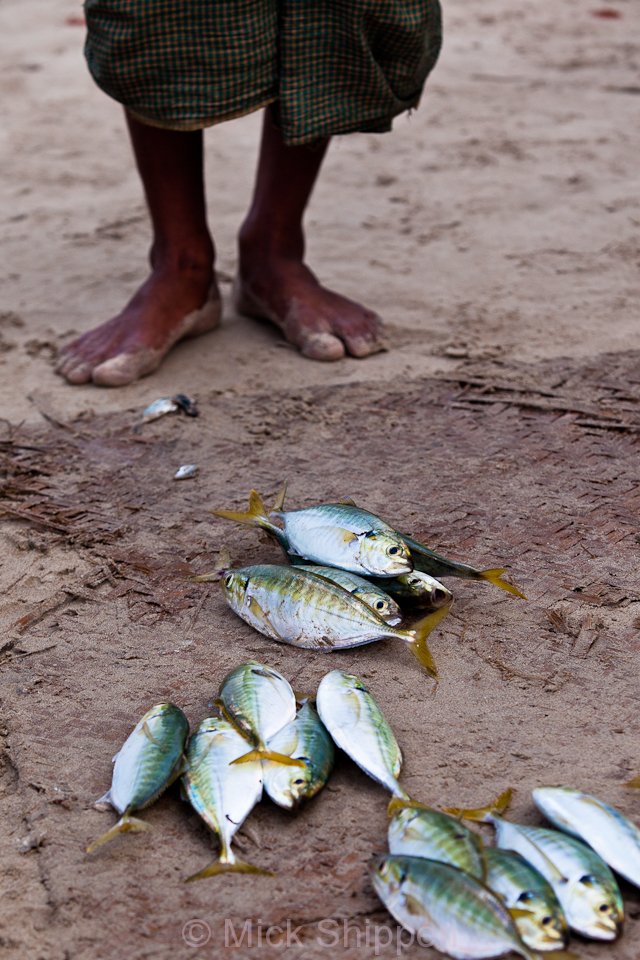 A fisherman stands on the beach waiting for interest in his catch.