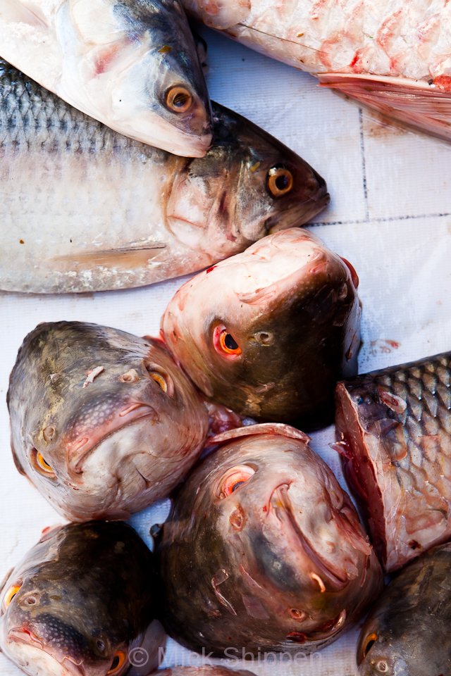 Fish heads for sale in one of the city's many street markets.