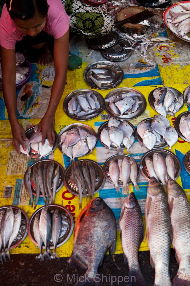 A woman selling fish in a side street opposite Scott Market.